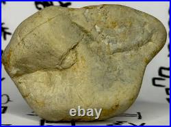 Native American Indian Authentic Artifact Stone Carved Effigy, 2.8 oz. VA