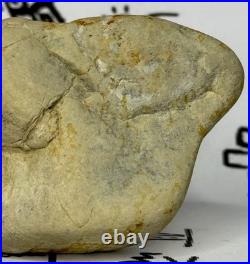 Native American Indian Authentic Artifact Stone Carved Effigy, 2.8 oz. VA