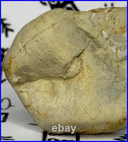 Native American Indian Authentic Artifact Stone Carved Effigy, 2.8 oz. VA