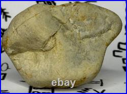 Native American Indian Authentic Artifact Stone Carved Effigy, 2.8 oz. VA