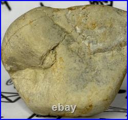Native American Indian Authentic Artifact Stone Carved Effigy, 2.8 oz. VA