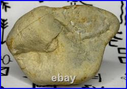 Native American Indian Authentic Artifact Stone Carved Effigy, 2.8 oz. VA