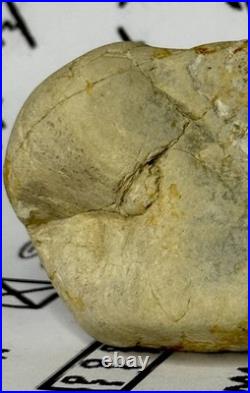 Native American Indian Authentic Artifact Stone Carved Effigy, 2.8 oz. VA