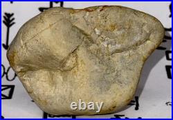 Native American Indian Authentic Artifact Stone Carved Effigy, 2.8 oz. VA