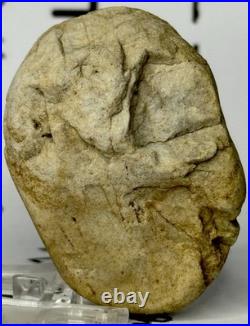 Native American Indian Authentic Artifact Stone Carved Effigy, 2.9 oz. VA Native American Indian Authentic Artifact Stone Carved Effigy, 2.9 oz. VA