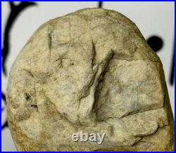 Native American Indian Authentic Artifact Stone Carved Effigy, 2.9 oz. VA Native American Indian Authentic Artifact Stone Carved Effigy, 2.9 oz. VA