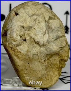 Native American Indian Authentic Artifact Stone Carved Effigy, 2.9 oz. VA Native American Indian Authentic Artifact Stone Carved Effigy, 2.9 oz. VA