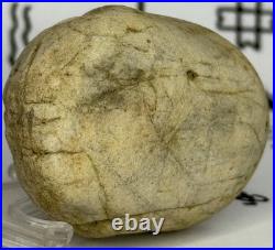 Native American Indian Authentic Artifact Stone Carved Effigy, 2.9 oz. VA Native American Indian Authentic Artifact Stone Carved Effigy, 2.9 oz. VA