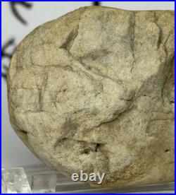 Native American Indian Authentic Artifact Stone Carved Effigy, 2.9 oz. VA Native American Indian Authentic Artifact Stone Carved Effigy, 2.9 oz. VA