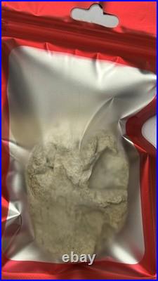 Native American Indian Authentic Artifact Stone Carved Effigy, 2.9 oz. VA Native American Indian Authentic Artifact Stone Carved Effigy, 2.9 oz. VA