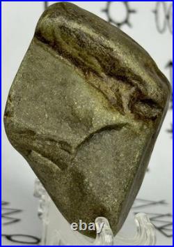 Native American Indian Authentic Artifact Stone Carved Effigy, 3.9 oz. VA Native American Indian Authentic Artifact Stone Carved Effigy, 3.9 oz. VA