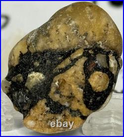 Native American Indian Authentic Artifact Stone Carved Effigy. 4 oz. VA
