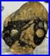 Native American Indian Authentic Artifact Stone Carved Effigy. 4 oz. VA