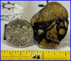 Native American Indian Authentic Artifact Stone Carved Effigy. 4 oz. VA