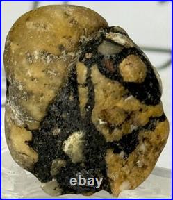 Native American Indian Authentic Artifact Stone Carved Effigy. 4 oz. VA