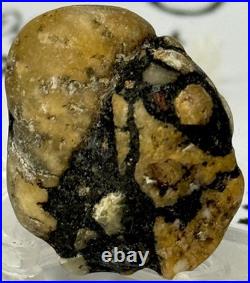 Native American Indian Authentic Artifact Stone Carved Effigy. 4 oz. VA