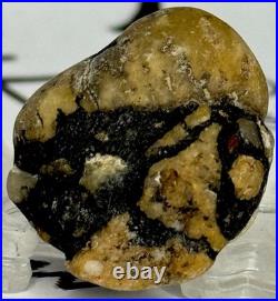 Native American Indian Authentic Artifact Stone Carved Effigy. 4 oz. VA