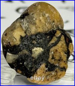 Native American Indian Authentic Artifact Stone Carved Effigy. 4 oz. VA