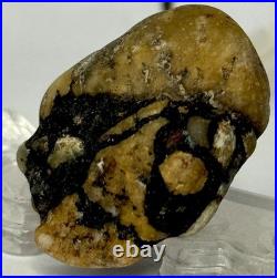 Native American Indian Authentic Artifact Stone Carved Effigy. 4 oz. VA