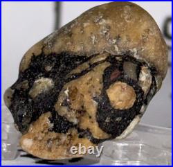Native American Indian Authentic Artifact Stone Carved Effigy. 4 oz. VA