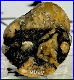 Native American Indian Authentic Artifact Stone Carved Effigy. 4 oz. VA