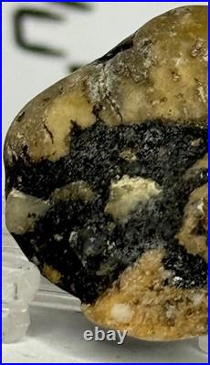 Native American Indian Authentic Artifact Stone Carved Effigy. 4 oz. VA