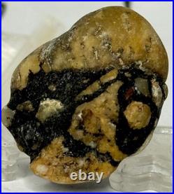 Native American Indian Authentic Artifact Stone Carved Effigy. 4 oz. VA