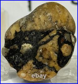 Native American Indian Authentic Artifact Stone Carved Effigy. 4 oz. VA