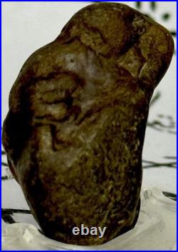 Native American Indian Authentic Artifact Stone Carved Effigy. 5 oz. VA