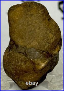 Native American Indian Authentic Artifact Stone Carved Effigy. 5 oz. VA