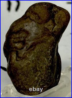 Native American Indian Authentic Artifact Stone Carved Effigy. 5 oz. VA