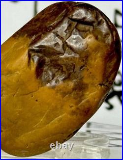 Native American Indian Authentic Artifact Stone Carved Effigy. 9 oz. VA