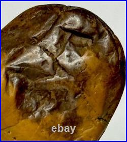 Native American Indian Authentic Artifact Stone Carved Effigy. 9 oz. VA