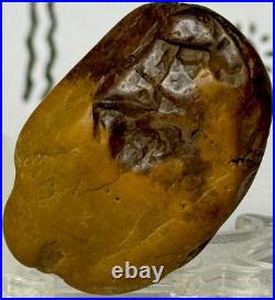 Native American Indian Authentic Artifact Stone Carved Effigy. 9 oz. VA