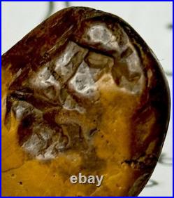 Native American Indian Authentic Artifact Stone Carved Effigy. 9 oz. VA