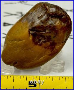 Native American Indian Authentic Artifact Stone Carved Effigy. 9 oz. VA