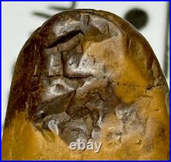 Native American Indian Authentic Artifact Stone Carved Effigy. 9 oz. VA