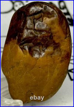 Native American Indian Authentic Artifact Stone Carved Effigy. 9 oz. VA