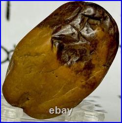 Native American Indian Authentic Artifact Stone Carved Effigy. 9 oz. VA