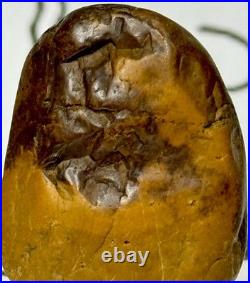 Native American Indian Authentic Artifact Stone Carved Effigy. 9 oz. VA