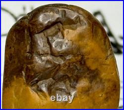 Native American Indian Authentic Artifact Stone Carved Effigy. 9 oz. VA