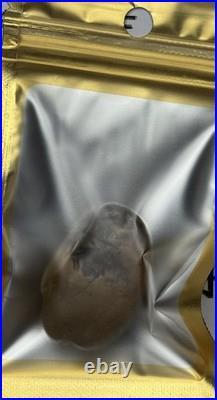 Native American Indian Authentic Artifact Stone Carved Effigy. 9 oz. VA