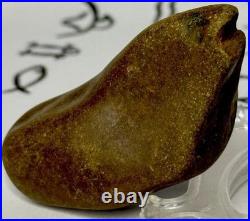 Native American Indian Authentic Artifact Stone Effigy Carved, 1.7 oz. VA