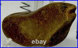 Native American Indian Authentic Artifact Stone Effigy Carved, 1.7 oz. VA