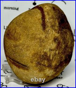 Native American Indian Authentic Artifact Stone Effigy Carved, 1 lb 10 oz. VA