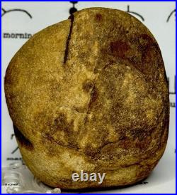 Native American Indian Authentic Artifact Stone Effigy Carved, 1 lb 10 oz. VA