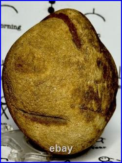 Native American Indian Authentic Artifact Stone Effigy Carved, 1 lb 10 oz. VA