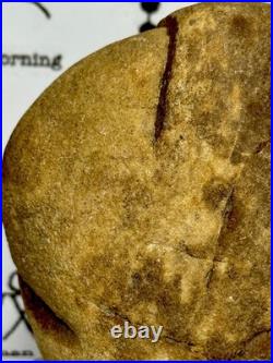 Native American Indian Authentic Artifact Stone Effigy Carved, 1 lb 10 oz. VA
