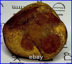 Native American Indian Authentic Artifact Stone Effigy Carved, 1 lb 10 oz. VA
