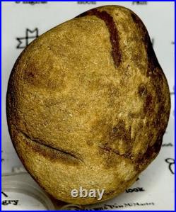 Native American Indian Authentic Artifact Stone Effigy Carved, 1 lb 10 oz. VA